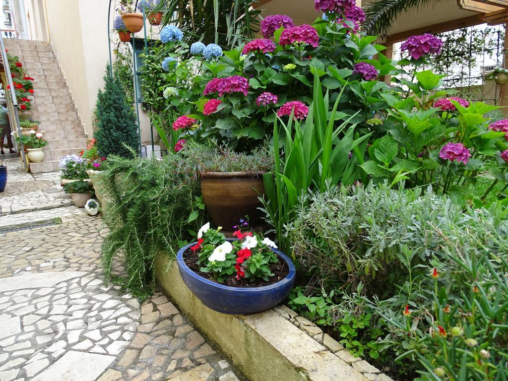 Apartament - Lisa Budva Exterior photo