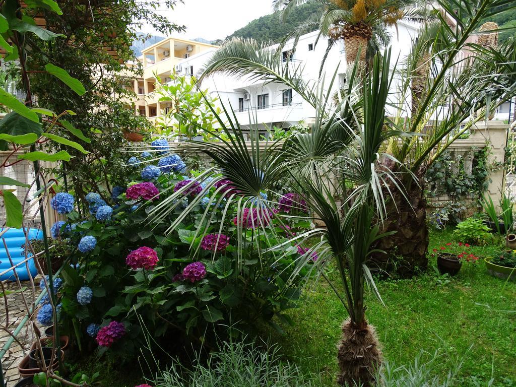 Apartament - Lisa Budva Exterior photo